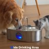 ECOCONUT Dog Water Fountain Stainless Steel Large Capacity-4