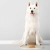 DogBuddy Silicone Pet Food Mat Waterproof Easy Clean-7