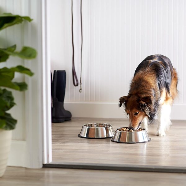 Amazon Stainless Steel Pet Bowls 2-Pack Non-Slip Design-5