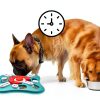 PETSTA Dog Slow Feeder Puzzle Toy Mental Stimulation-2