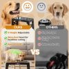 Jovrun Adjustable Dog Bowl Stand Stainless Steel Bowls-2