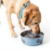 Loving Pets Bella Bowl Stainless Steel Dog Food Bowl-4