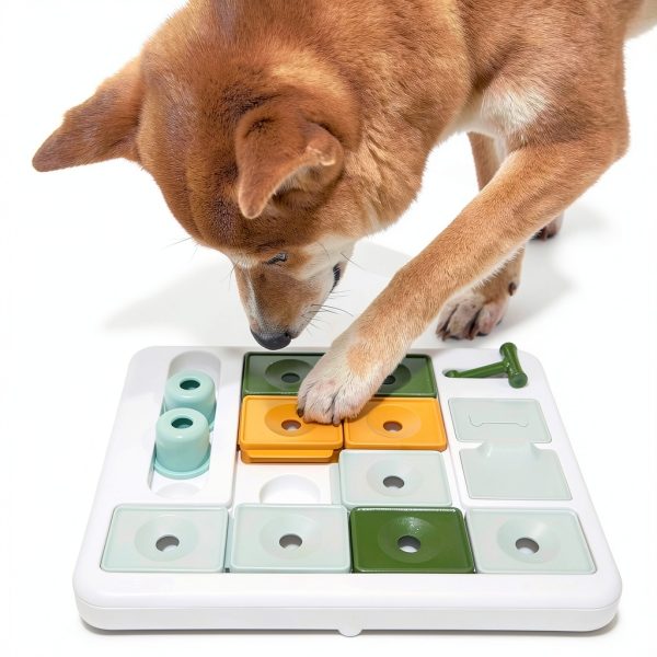 Barkwhiz Dog Slow Feeder Puzzle Toy Four Challenges Safe-1