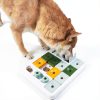 Barkwhiz Dog Slow Feeder Puzzle Toy Four Challenges Safe-5