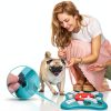 PETSTA Dog Slow Feeder Puzzle Toy Mental Stimulation-5