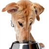 DK177 Dog Feeding Mat Absorbent Anti Slip Pet Supplies-2