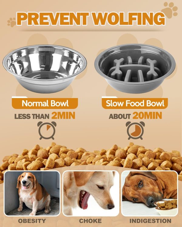 Jovrun Adjustable Dog Bowl Stand Stainless Steel Bowls-4